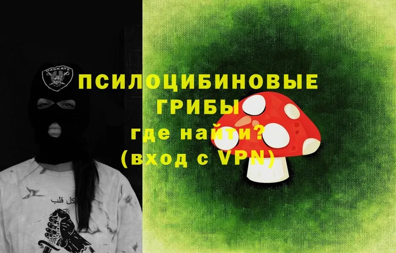 Псилоцибиновые грибы Magic Shrooms  Богородицк 